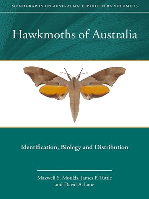 cover image of Hawkmoths of Australia: Identification, Biology and Distribution